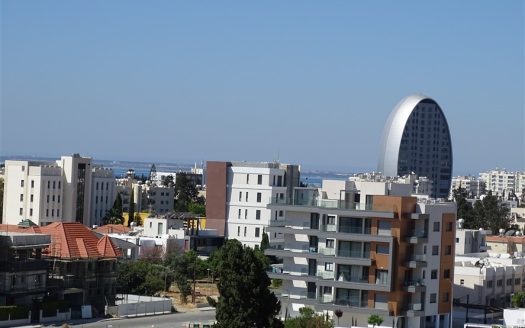 Limassol Property Exclusive Penthouse With Roof Garden