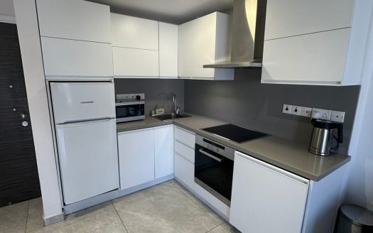 Limassol Property One Bedroom Apartment On The Beachfront