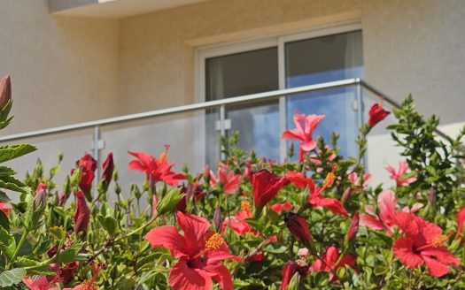 Paphos Property Beautiful Three Bedroom Villas