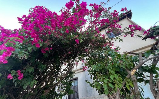 Limassol Property Charming Two Bedroom Village House
