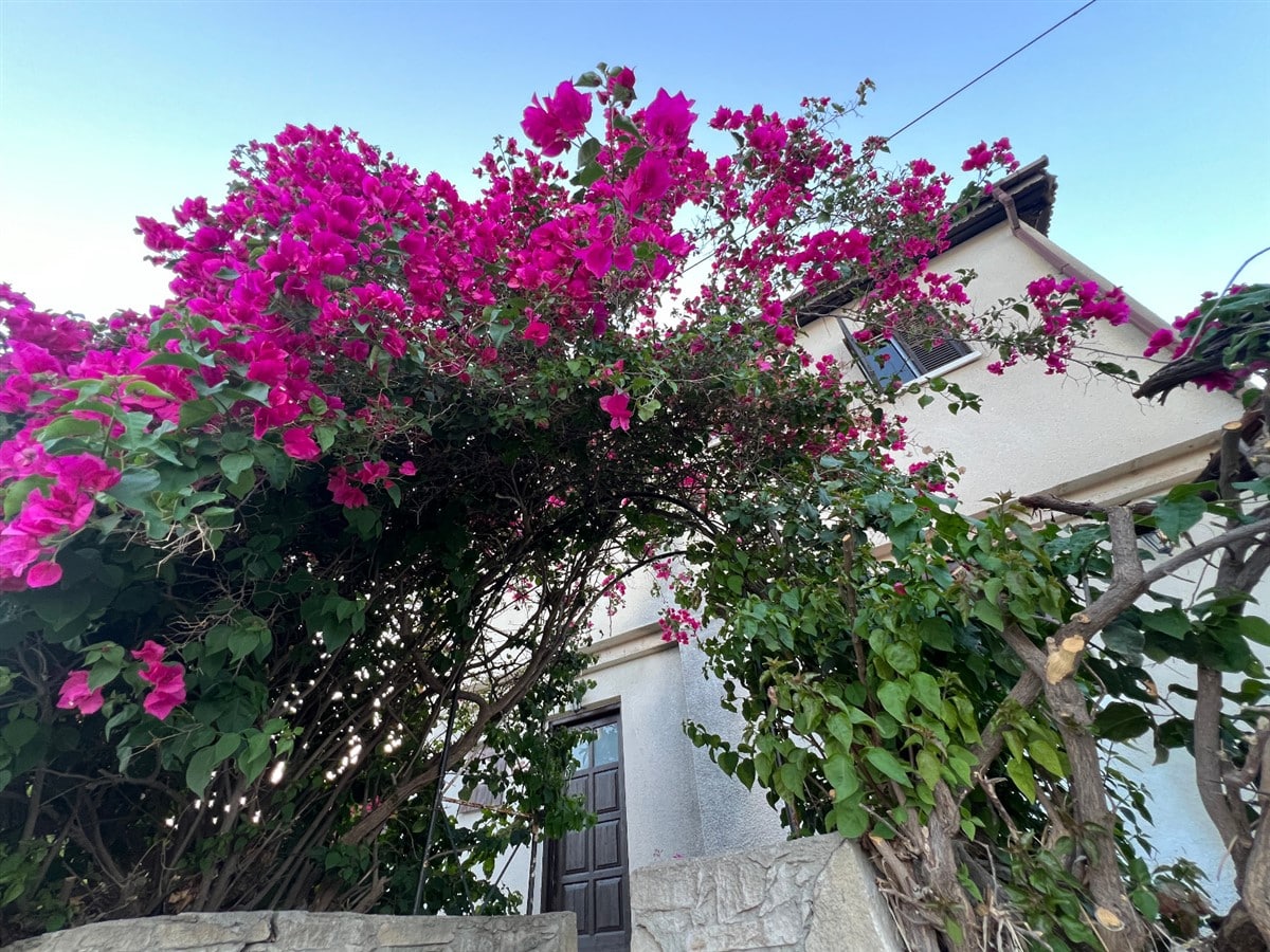 Limassol Property Charming Two Bedroom Village House