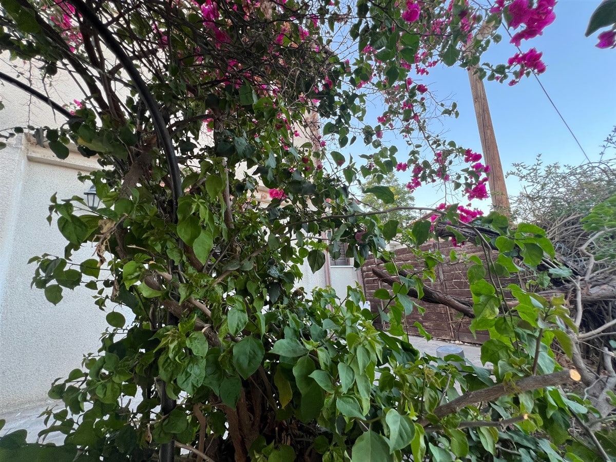 Limassol Property Charming Two Bedroom Village House