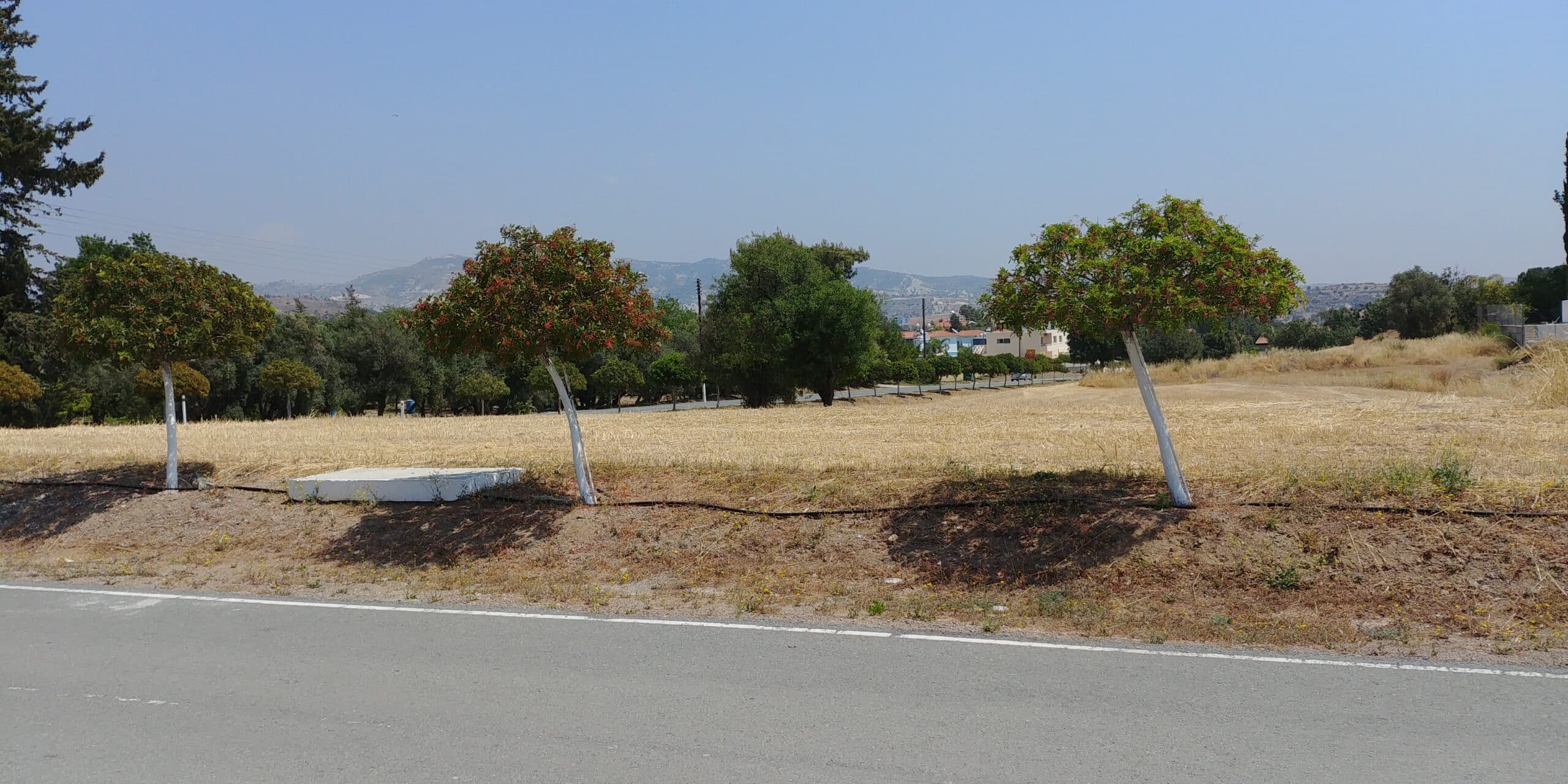 Limassol Property Plot in Moni- 3.382 m2