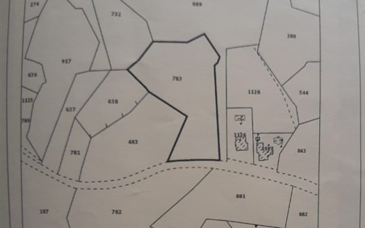 Limassol Property Agricultural Land