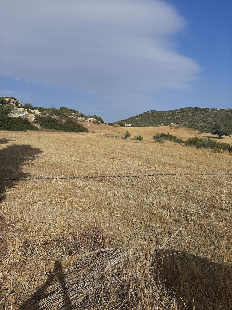 Limassol Property Plot in Parekklisia – 2.007 m2