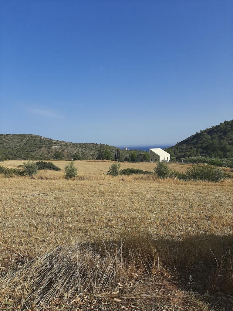 Limassol Property Plot in Parekklisia – 2.007 m2