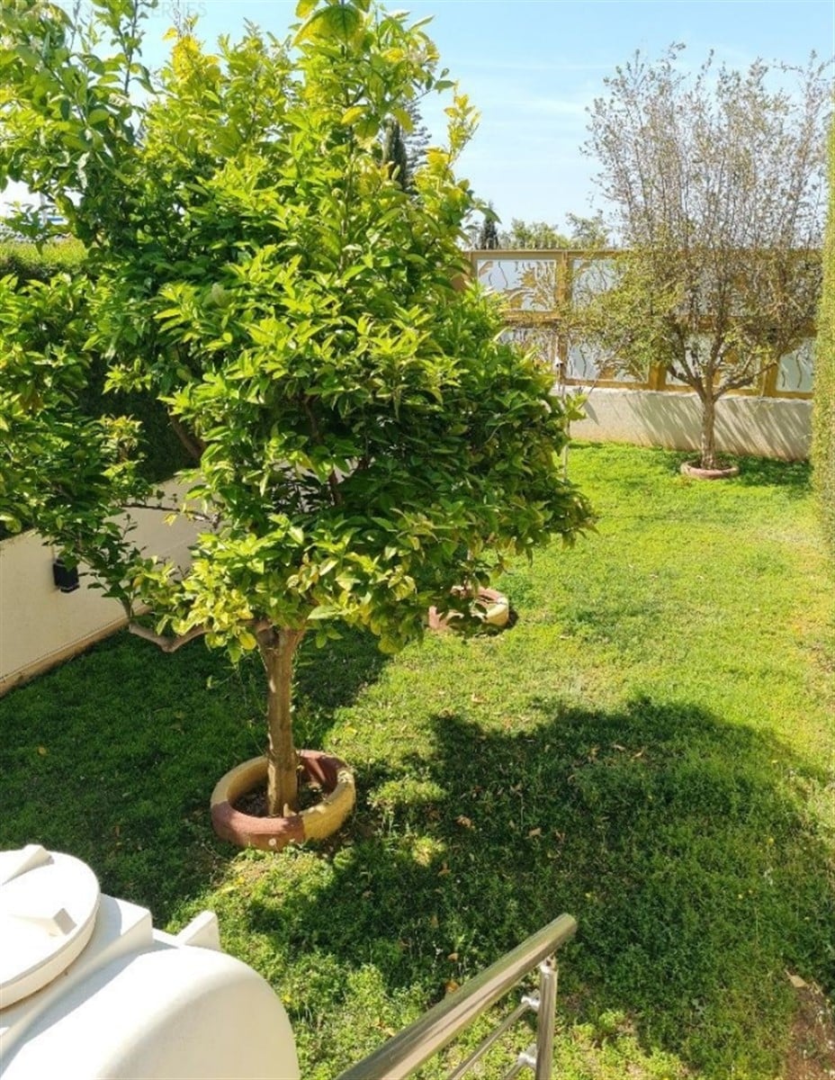 Limassol Property Luxury Four Bedroom House