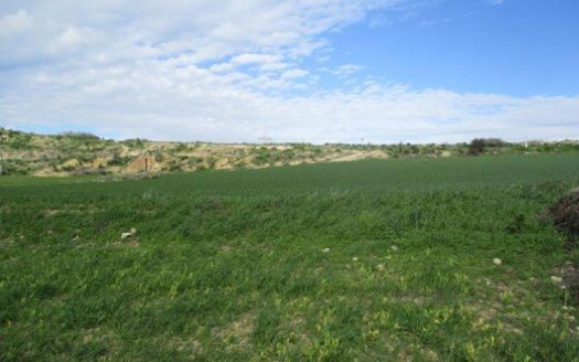 Larnaca Property Field
