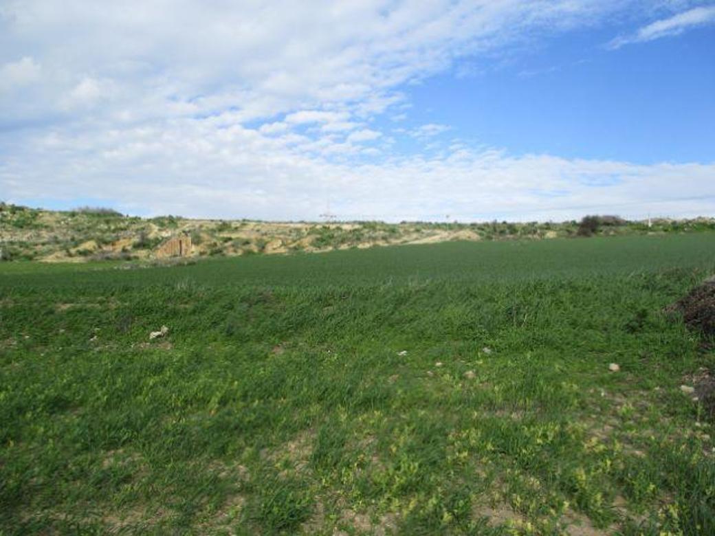 Larnaca Property Field