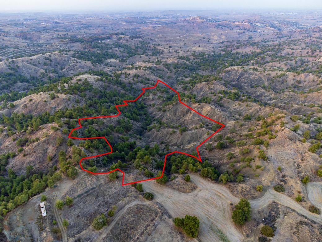Nicosia Property Shared Field in Politiko