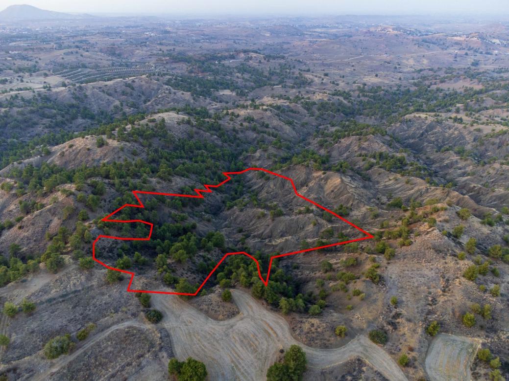 Nicosia Property Shared Field in Politiko