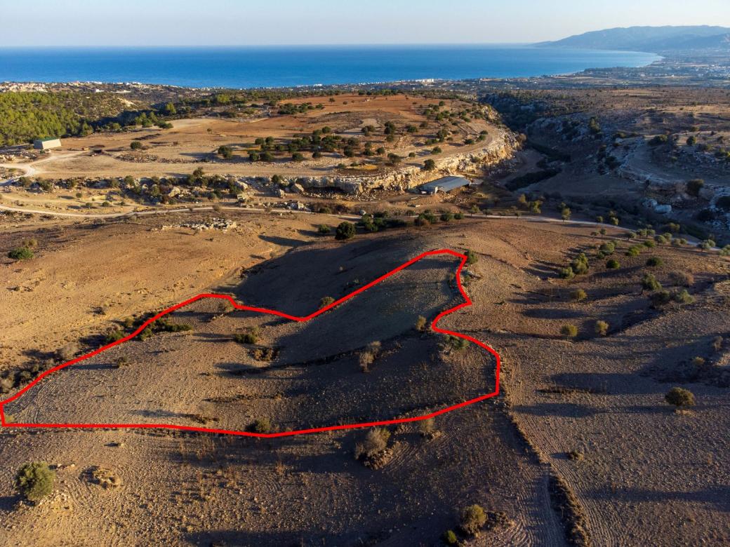 Paphos Property Shared Field
