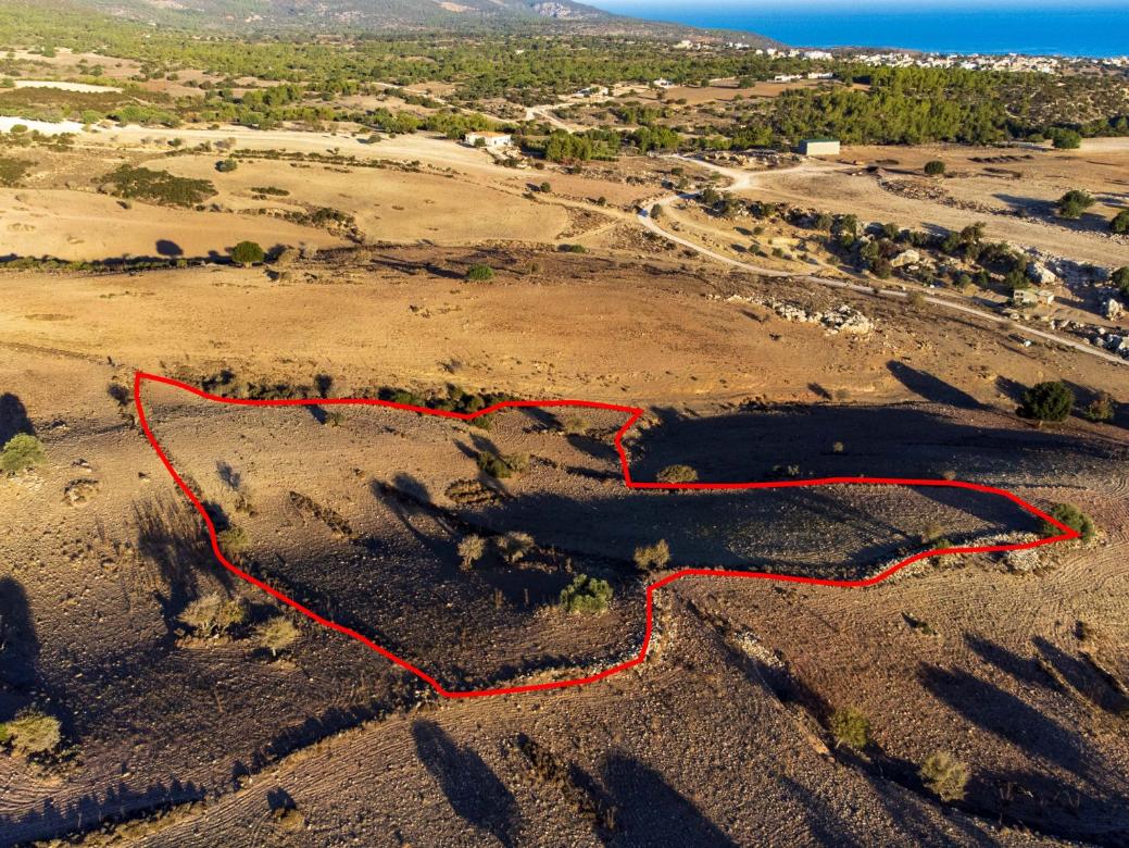 Paphos Property Shared Field