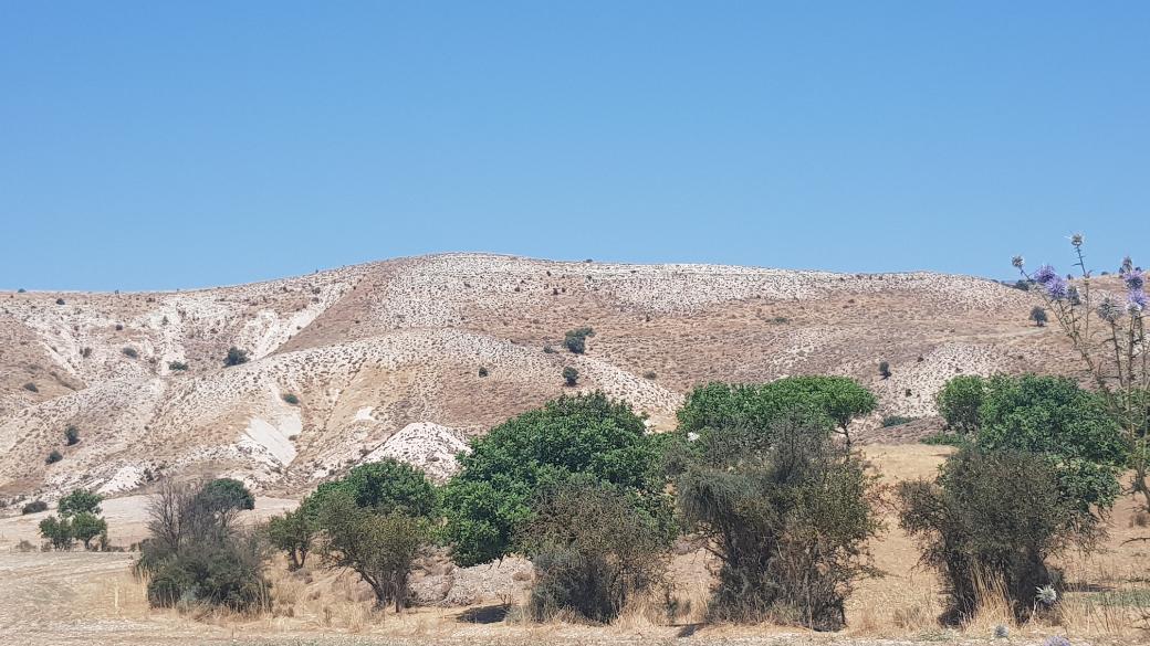 Nicosia Property Field in Lympia