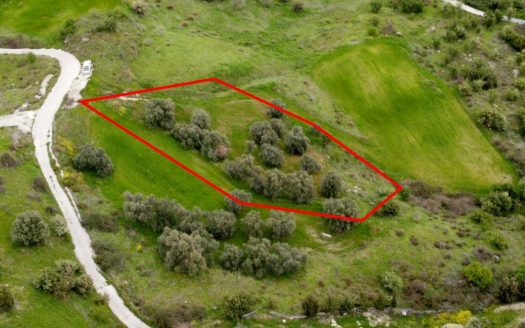 Paphos Property Field – 1.338 m2 in Lasa