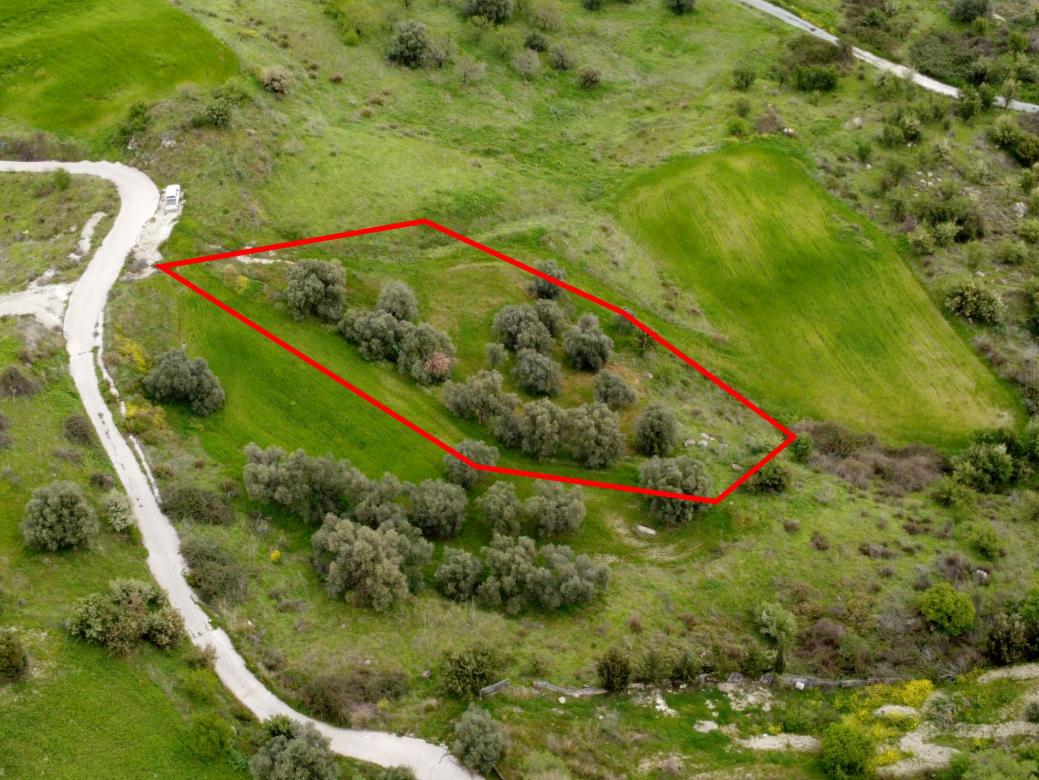 Paphos Property Field – 1.338 m2 in Lasa
