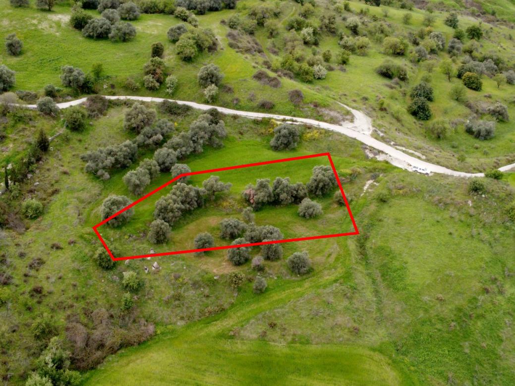 Paphos Property Field – 1.338 m2 in Lasa