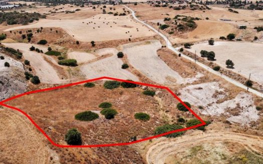 Limassol Property Field in Monagrouli