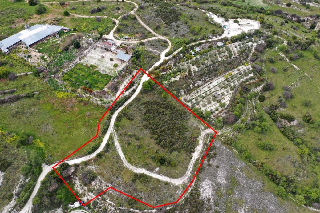 Paphos Property Shared Field in Episkopi