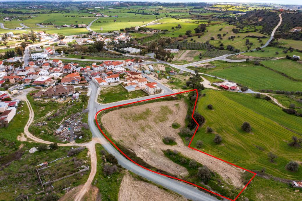 Larnaca Property Field