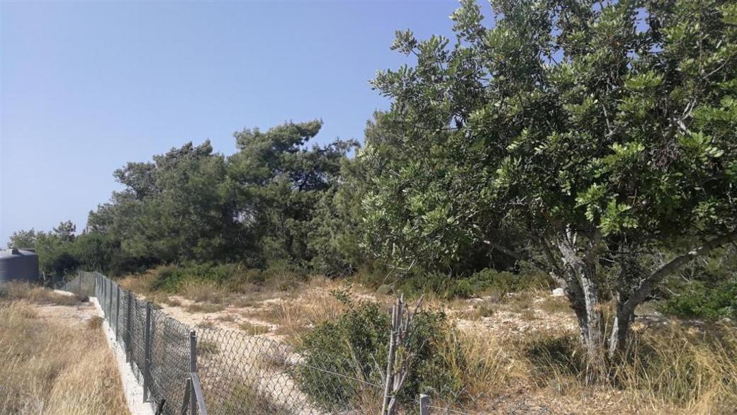 Paphos Property Shared Field in Neo Chorio Village