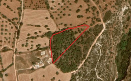 Paphos Property Shared Field in Neo Chorio Village