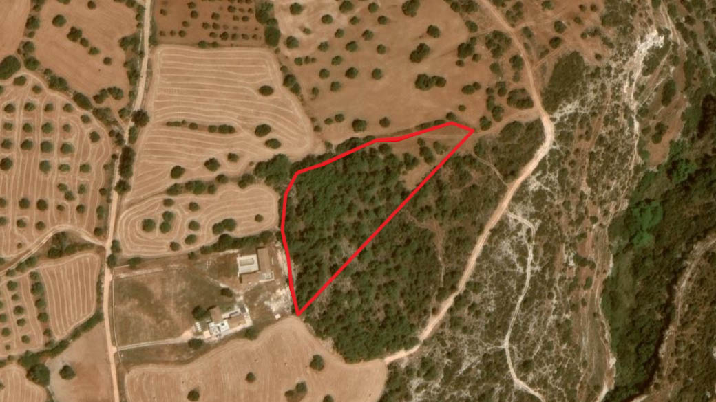 Paphos Property Shared Field in Neo Chorio Village