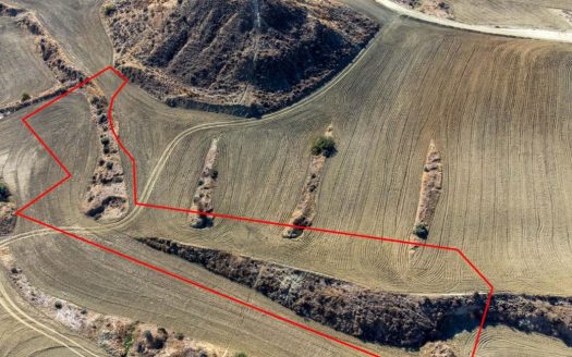Nicosia Property Field