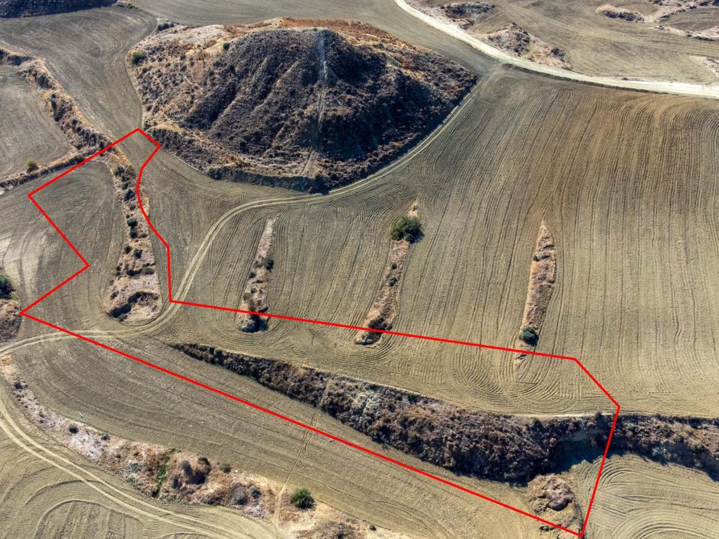 Nicosia Property Field