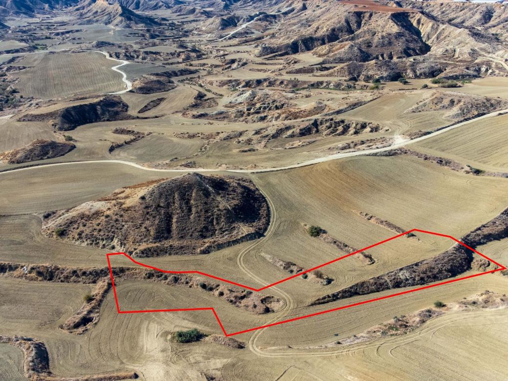 Nicosia Property Field