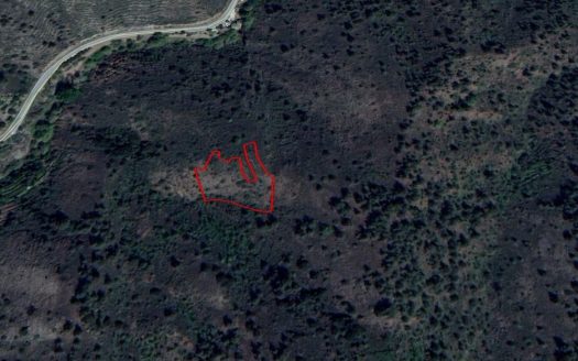 Nicosia Property Field in Platanistasa