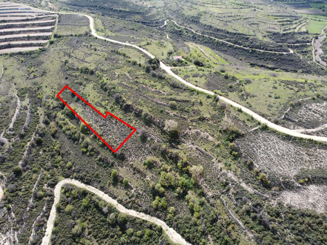 Limassol Property Field in Potamiou
