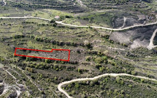 Limassol Property Field in Potamiou