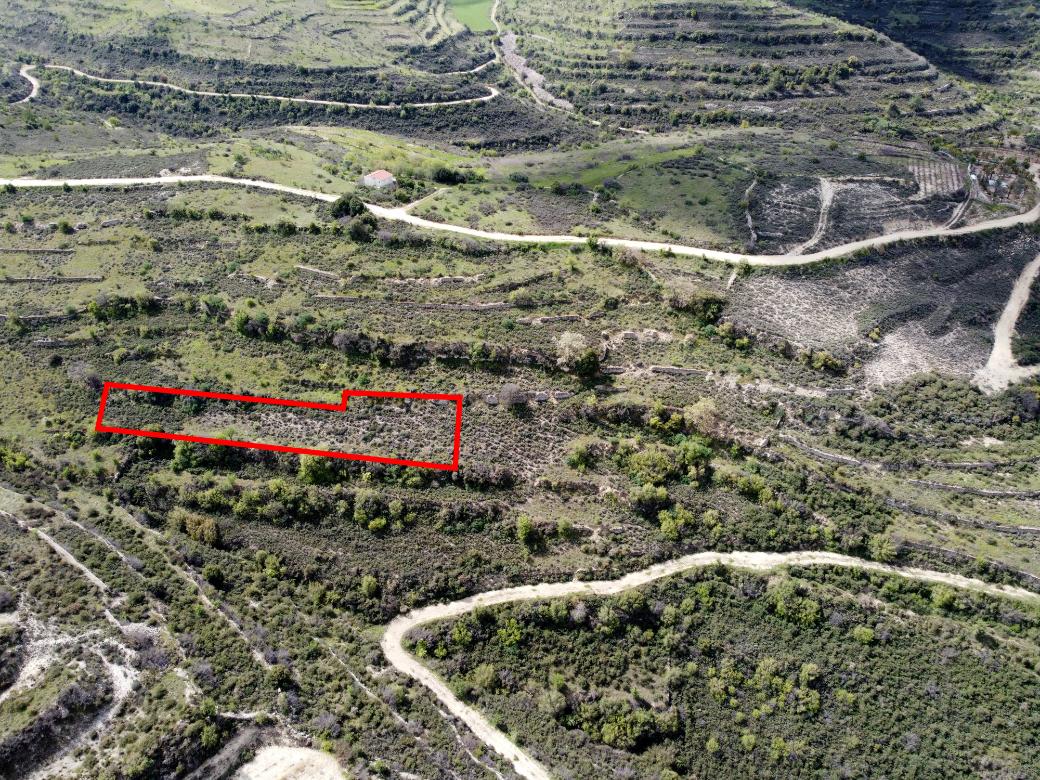 Limassol Property Field in Potamiou