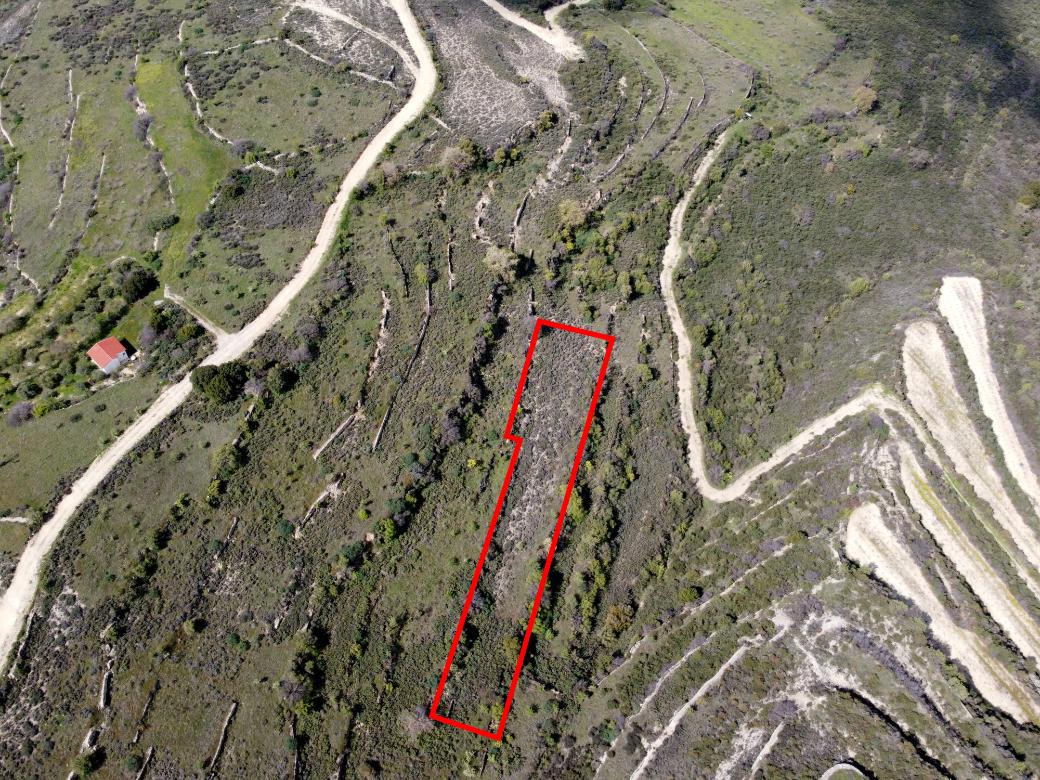 Limassol Property Field in Potamiou