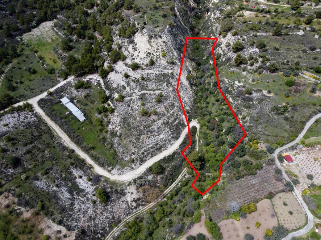 Limassol Property Field In Silikou