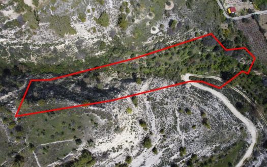 Limassol Property Field In Silikou