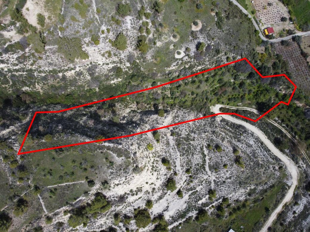 Limassol Property Field In Silikou