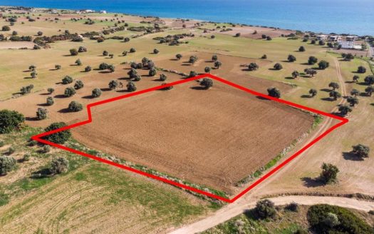 Larnaca Property Field In Agios Theodoros