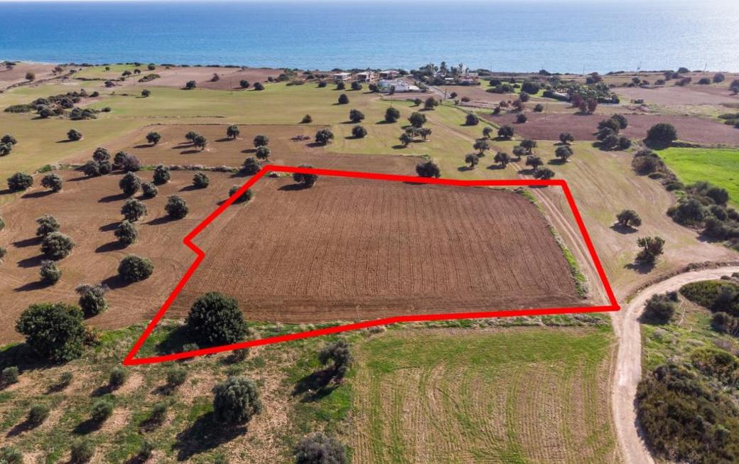 Larnaca Property Field In Agios Theodoros