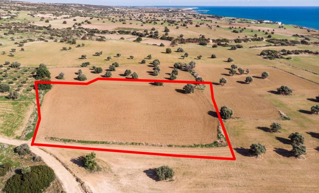 Larnaca Property Field In Agios Theodoros