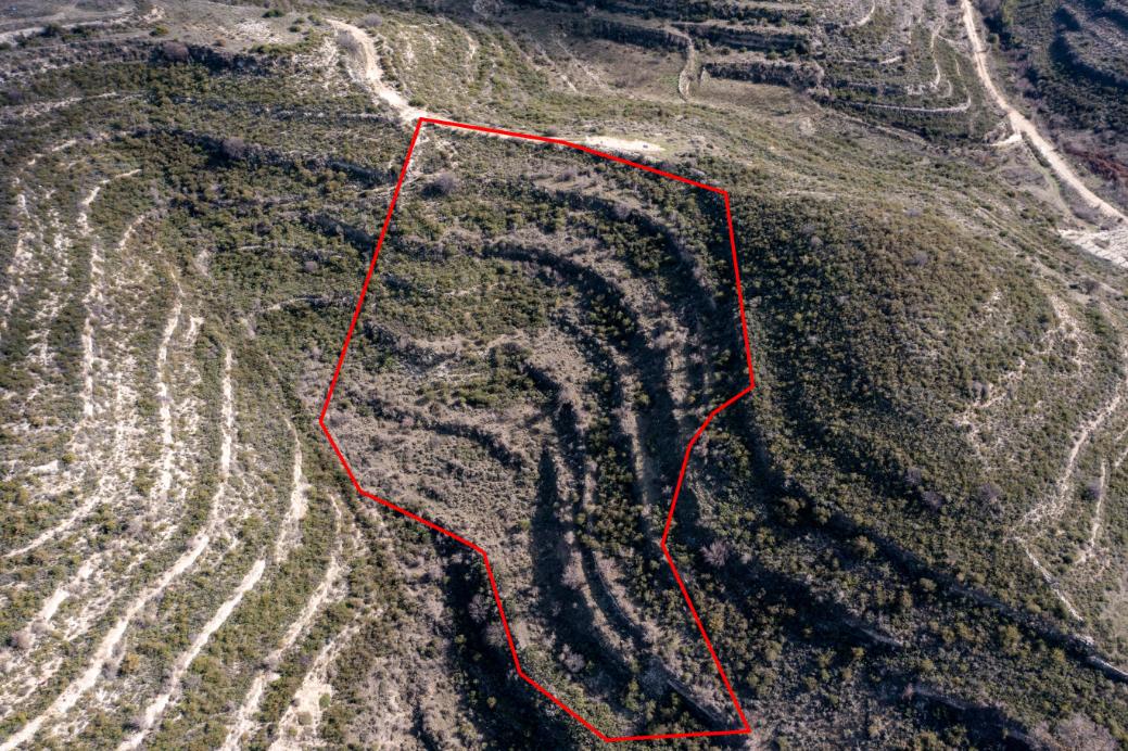 Limassol Property Field In Pachna