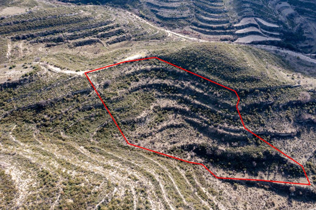 Limassol Property Field In Pachna