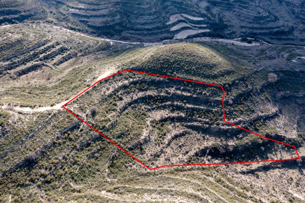 Limassol Property Field In Pachna