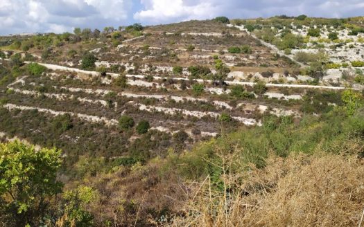 Limassol Property Field in Arsos