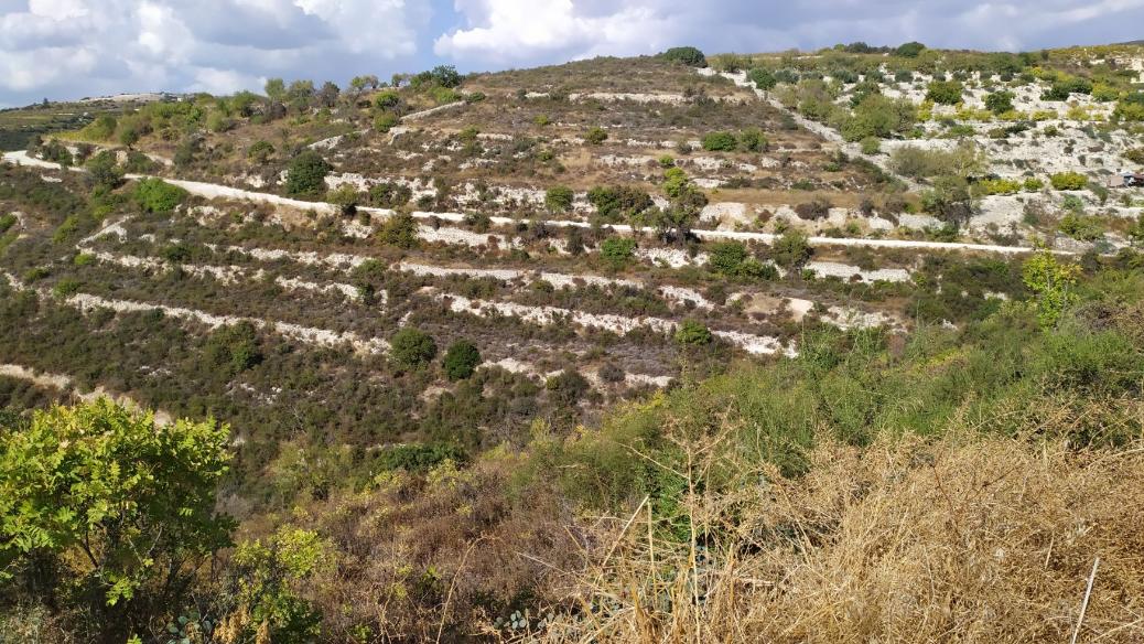 Limassol Property Field in Arsos