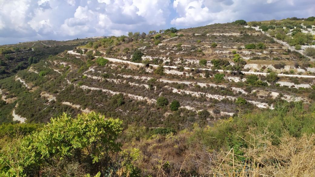 Limassol Property Field in Arsos