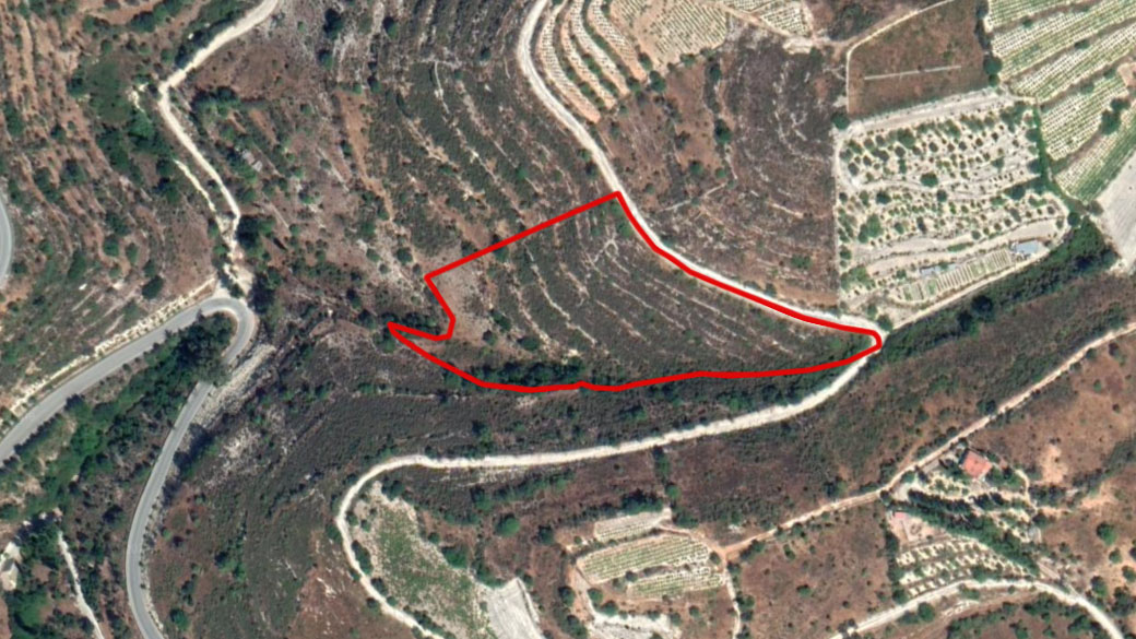 Limassol Property Field in Arsos