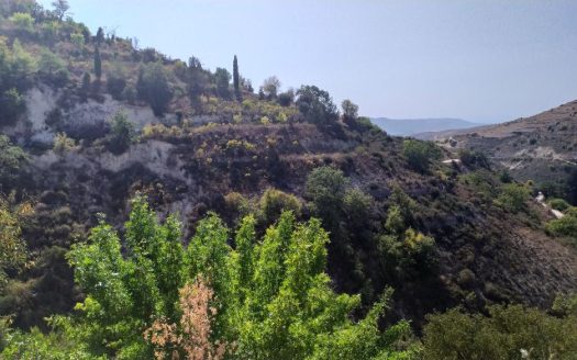 Limassol Property Field in Arsos