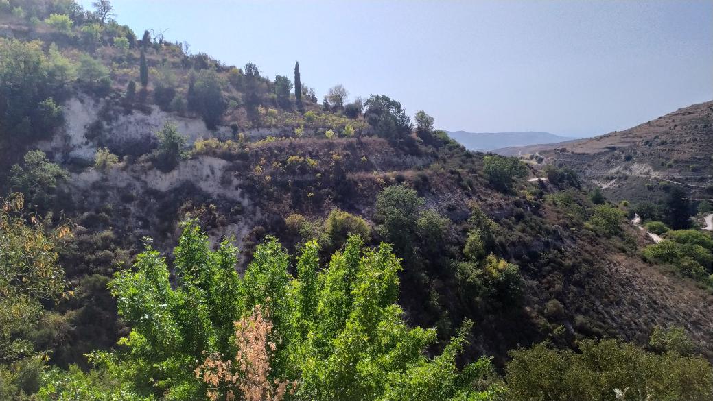 Limassol Property Field in Arsos